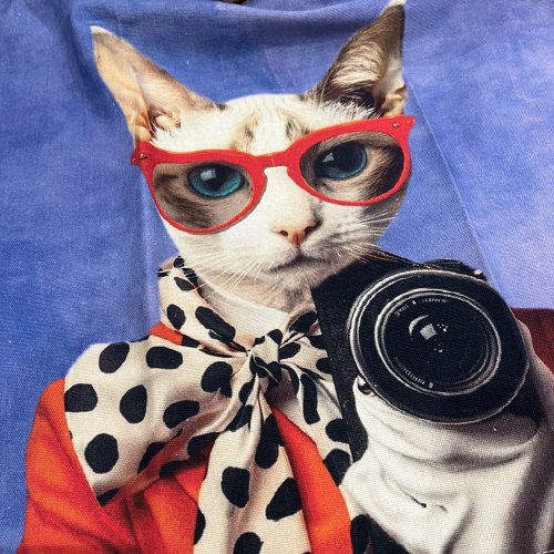 Geschirrtuch Katze